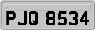PJQ8534
