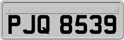 PJQ8539