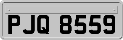 PJQ8559
