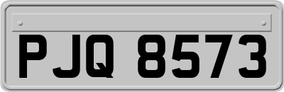 PJQ8573