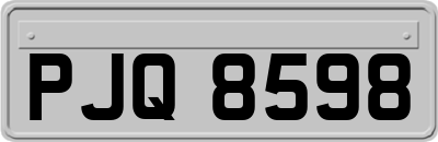 PJQ8598