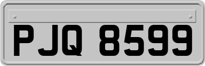 PJQ8599