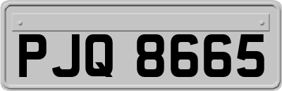 PJQ8665