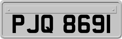 PJQ8691