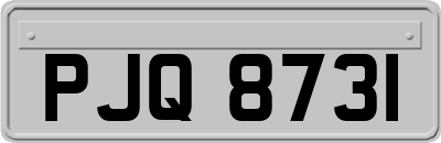 PJQ8731