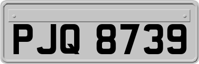 PJQ8739