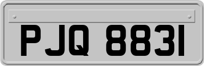 PJQ8831