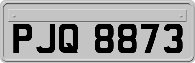 PJQ8873