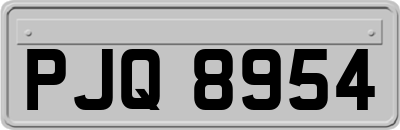 PJQ8954