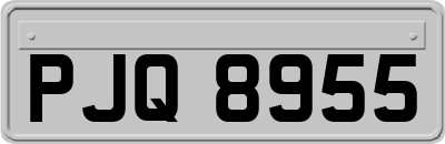 PJQ8955