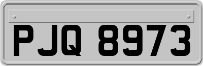 PJQ8973