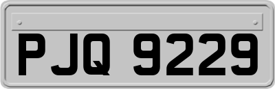 PJQ9229