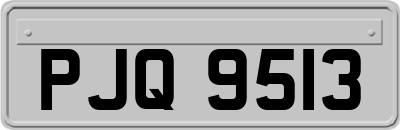 PJQ9513