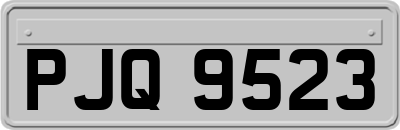 PJQ9523