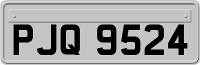 PJQ9524