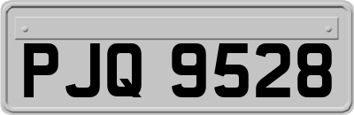 PJQ9528