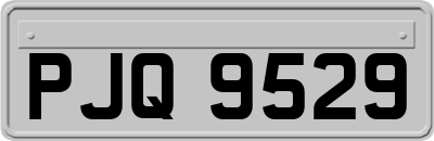 PJQ9529