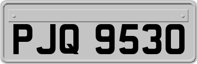 PJQ9530