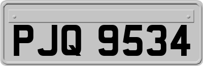 PJQ9534