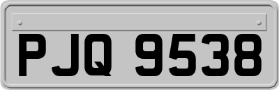 PJQ9538