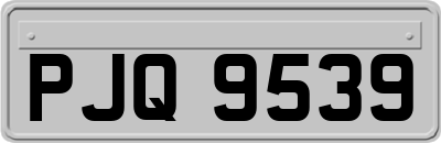 PJQ9539