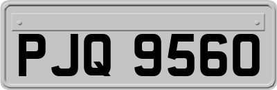 PJQ9560