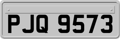 PJQ9573