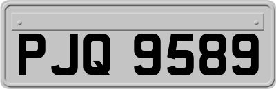 PJQ9589
