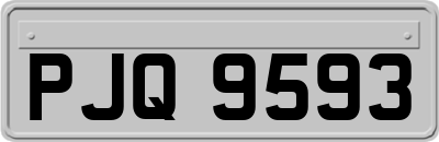 PJQ9593