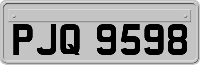 PJQ9598
