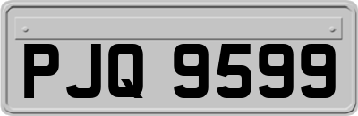 PJQ9599
