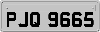 PJQ9665