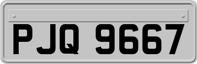 PJQ9667