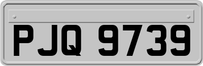 PJQ9739