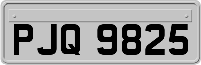 PJQ9825