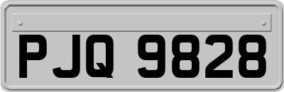 PJQ9828
