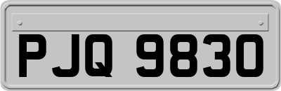 PJQ9830
