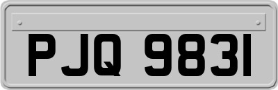PJQ9831