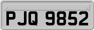 PJQ9852