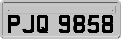 PJQ9858