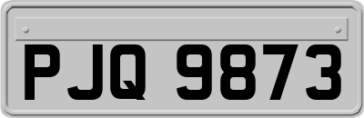 PJQ9873