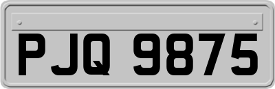 PJQ9875