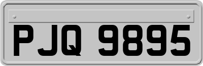 PJQ9895
