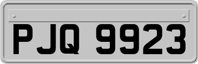 PJQ9923
