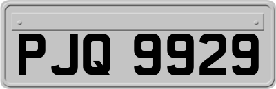 PJQ9929