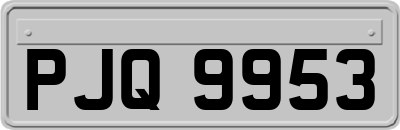 PJQ9953