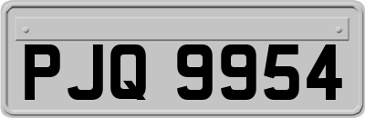 PJQ9954