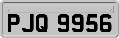 PJQ9956