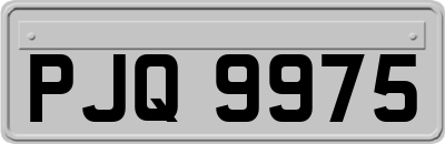 PJQ9975