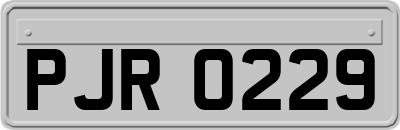 PJR0229